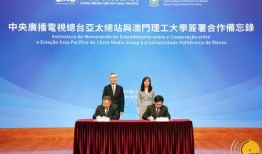 澳门政府最新爆料视频,深度解析事件背后真相