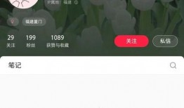 爆料吧视频完整版,事件真相与幕后黑幕深度解析