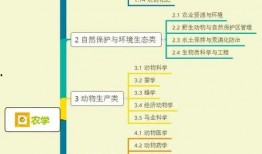 大聪明爆料小樱视频大全,小樱视频大全精彩瞬间大汇总