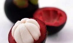 山竹爆料深圳视频大全,深圳视频大全揭秘城市魅力瞬间