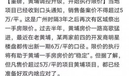 黄埔最新爆料,揭秘神秘项目，行业变革即将到来