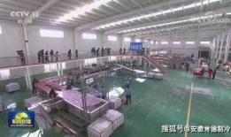 延安新闻联播爆料,重大事件引发社会关注