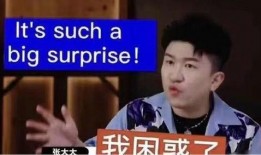 小胖搞笑解说爆料的什么视频,热门视频幕后趣事大曝光！