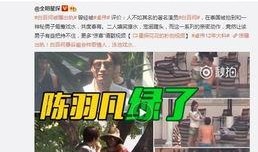 网友爆料方磊视频大全下载,网友爆料，海量精彩瞬间一网打尽