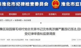 大新闻最新爆料视频大全,最新爆料视频大全深度解析