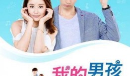 我的男孩电视在线观看,青春记忆的时光之旅