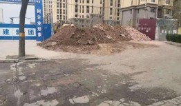 石家庄小区最新爆料信息,业主爆料真相，揭秘背后真相