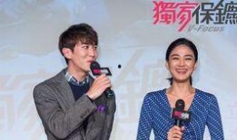 独家保镖电视剧全集在线观看,揭秘神秘保镖的传奇人生