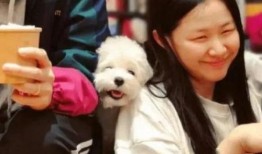 金靖爆料恋情视频