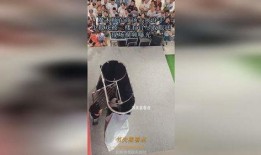 寒夜和小酒爆料视频合集,揭秘幕后故事与精彩瞬间