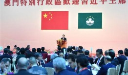 澳门政府最新爆料视频,深度解析事件背后真相