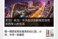 新闻线索爆料举报,举报背后的真相与正义