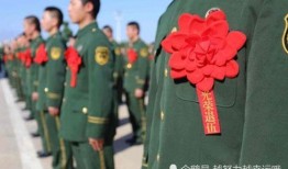 英国退役军官爆料视频,揭秘军事秘密与真实战争真相