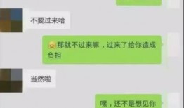 聊天记录吃瓜免费最新,最新聊天记录背后的秘密大公开