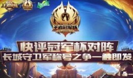 2022冠军套爆料视频,揭秘全新游戏元素与华丽外观