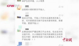 三门峡今日爆料新闻最新,最新爆料揭示惊人真相！