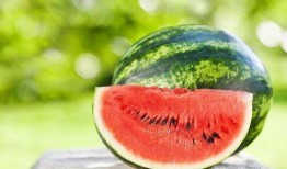 娱乐圈摆烂吃瓜,吃瓜群众围观明星“躺平”现象