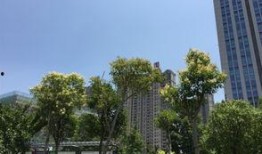 盐城碧桂园爆料事件最新,揭露背后真相与争议发酵