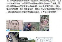 广东监狱爆料事件始末最新消息,真相与争议交织的监狱改革风云