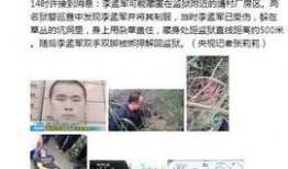 广东监狱爆料事件始末最新消息,真相与争议交织的监狱改革风云