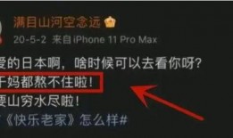 电视台爆料内鬼视频大全,电视台爆料视频大全深度解析