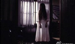 贞子vs伽椰子在线观看,惊悚对决，谁才是恐怖女王？