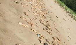 虎门大桥最新图片爆料,最新高清图片揭秘桥梁风采