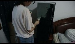 女生租房爆料视频真实图片,真实爆料与图片警示
