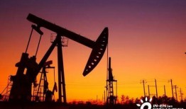 新瓜最新爆料资源视频下载,独家资源视频下载全攻略