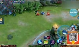 猴王王者爆料视频下载大全