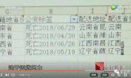 今日说法官网爆料视频,最新爆料视频深度解析