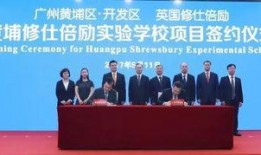 黄埔最新爆料,揭秘神秘项目，行业变革即将到来