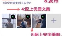 王安宇爆料出处大全集视频,揭秘背后真相与幕后故事