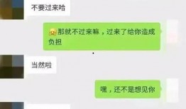 聊天记录吃瓜免费最新,最新聊天记录背后的秘密大公开