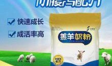 黑牛羊奶粉爆料视频,爆料视频曝光惊人内幕