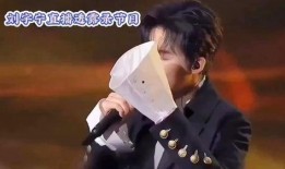 刘宇宁后续爆料视频播放,揭秘娱乐圈不为人知的一面