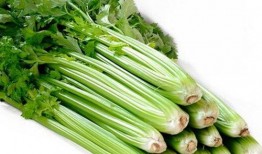 小芹菜爆料者视频