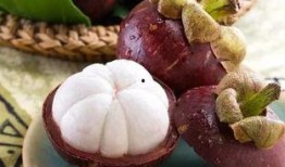 山竹爆料深圳视频大全,深圳视频大全揭秘城市魅力瞬间