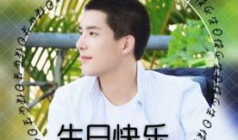 王安宇爆料出处大全集视频,揭秘背后真相与幕后故事