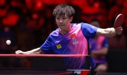 王楚钦300字爆料视频,训练幕后故事与心路历程