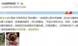 砀山最新事件爆料信息,揭秘背后真相，引发社会关注
