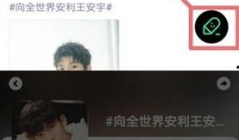 王安宇爆料出处大全集视频,揭秘背后真相与幕后故事