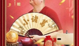 老严扮演者爆料视频,爆料视频背后的真实情感与挑战