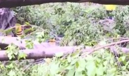 山竹爆料深圳视频大全,深圳视频大全揭秘城市魅力瞬间