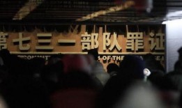 华人爆料焦点访谈视频,华人爆料背后的真相与影响