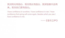 娱乐爆料日期怎么写的,探寻明星幕后故事，揭秘最新动态